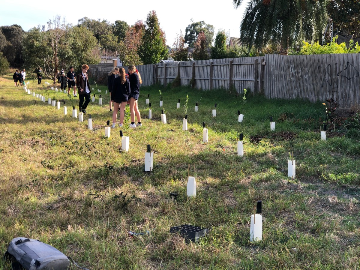 Planting Wed 07.05.2025