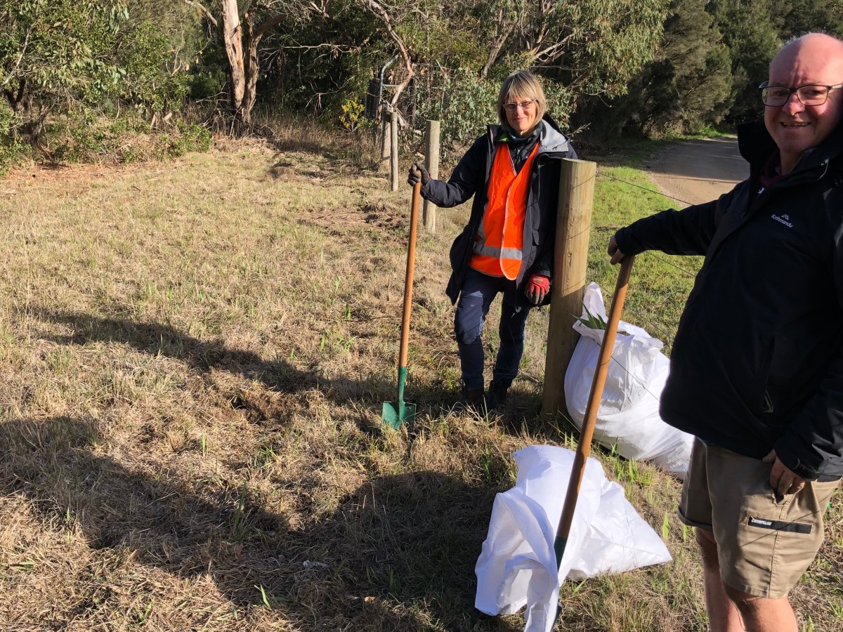 Working Bee 17.06.2025&nbsp;+