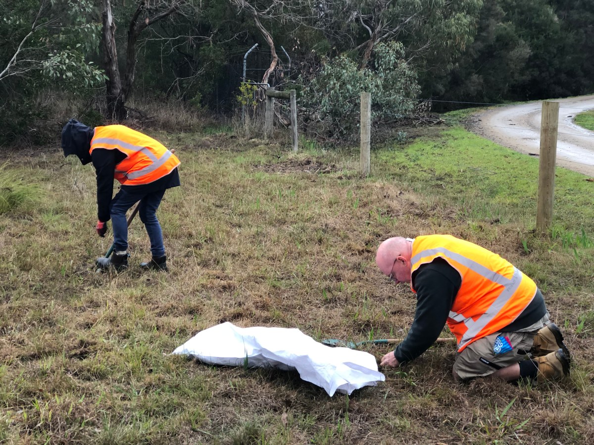 Working Bee Tue&nbsp;01.07.2025