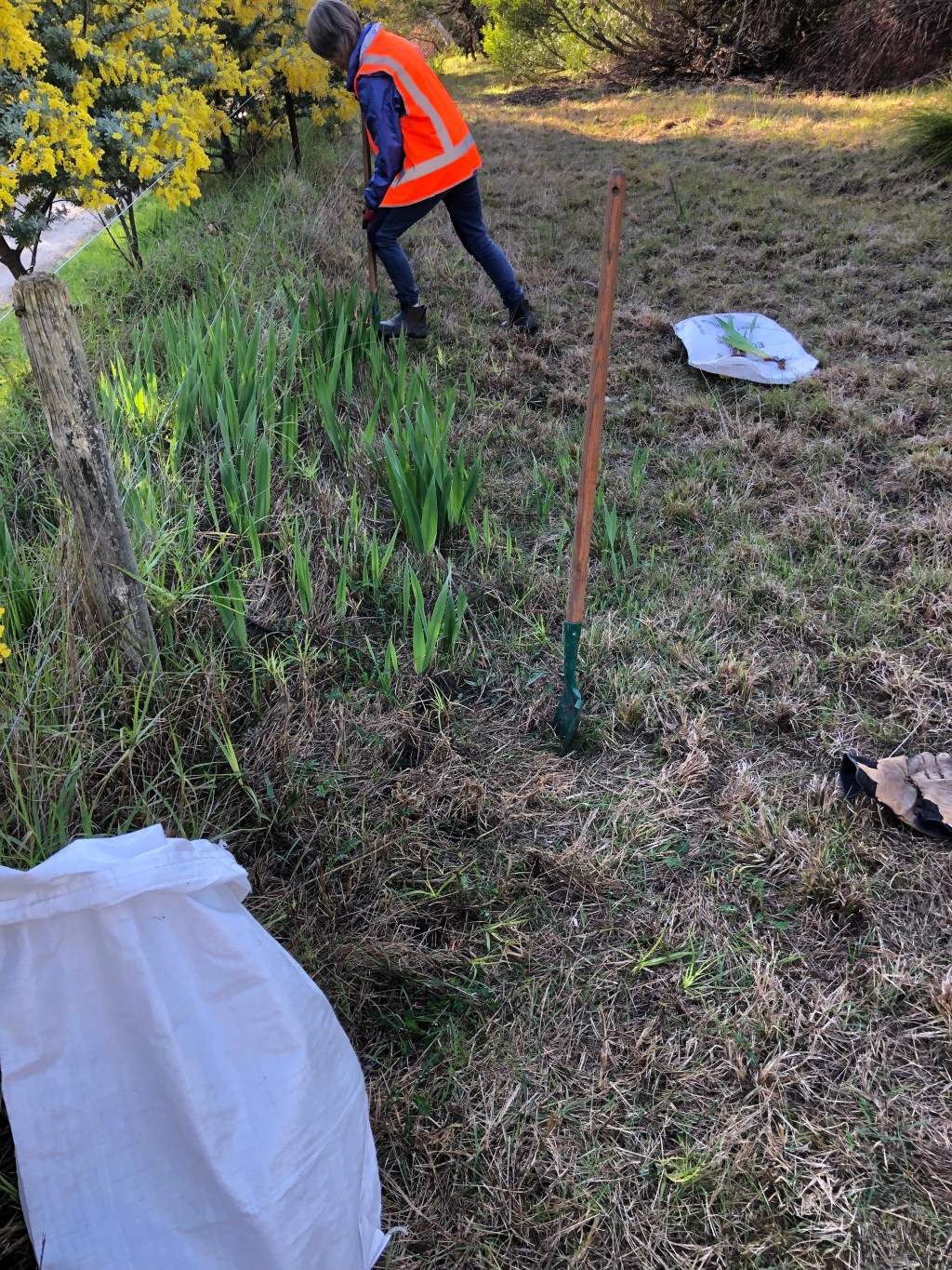 Working Bee Tues 
5th Aug&nbsp;2025