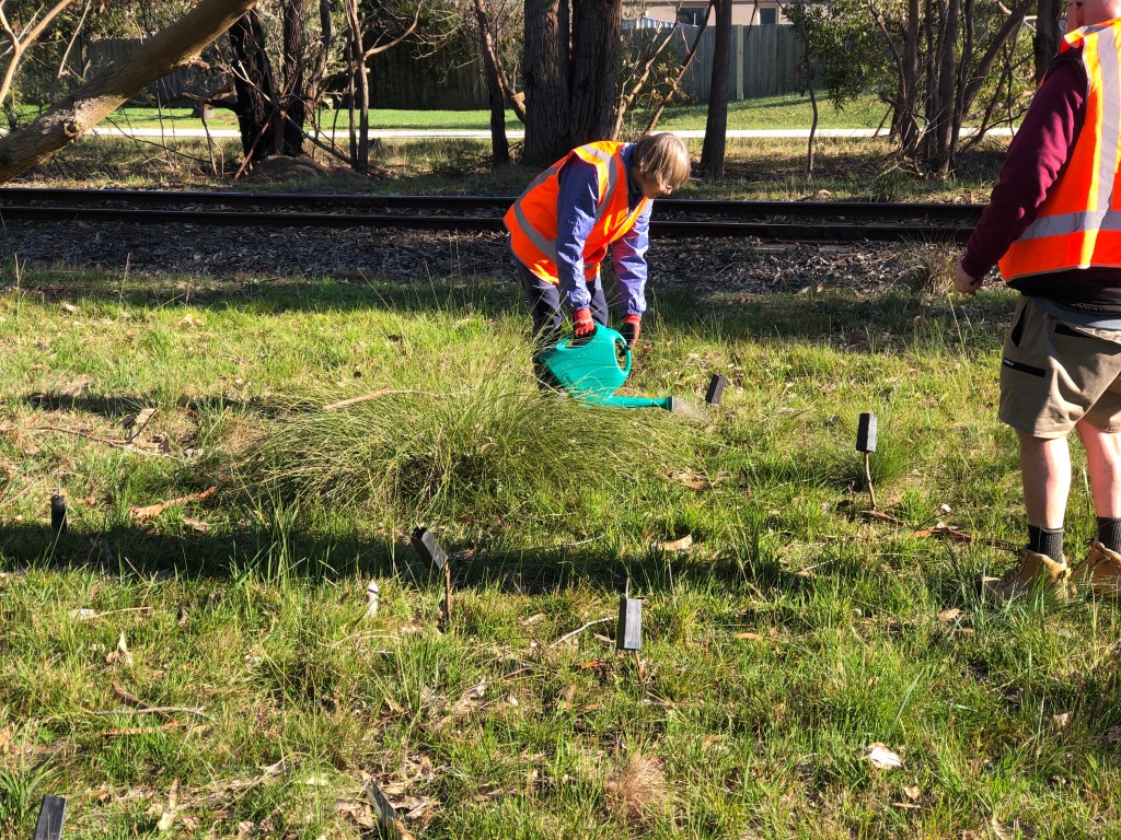 Planting Working Bee 19/20th Aug&nbsp;2025